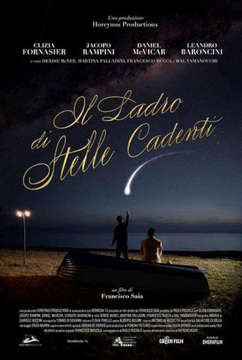 Póster de Il ladro di stelle cadenti