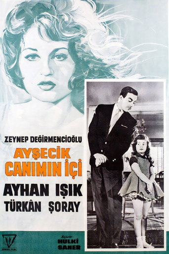 Póster de Ayşecik Canımın İçi