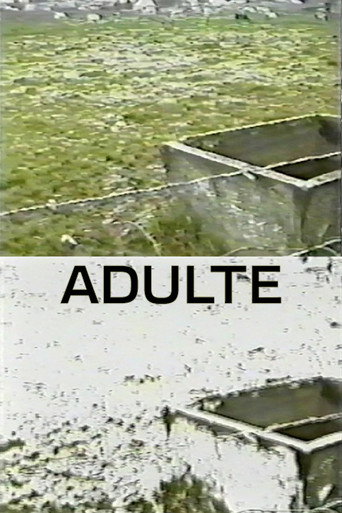 Póster de Adulte
