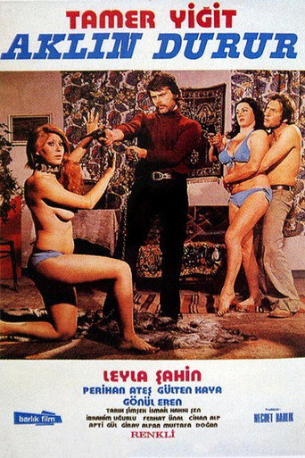 Póster de Aklın Durur