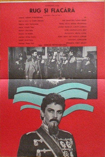 Póster de Rug și flacără