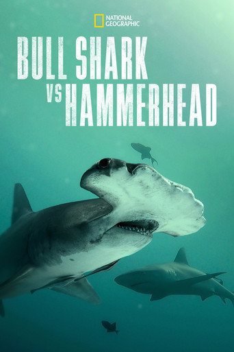 Póster de Bull Shark vs. Hammerhead