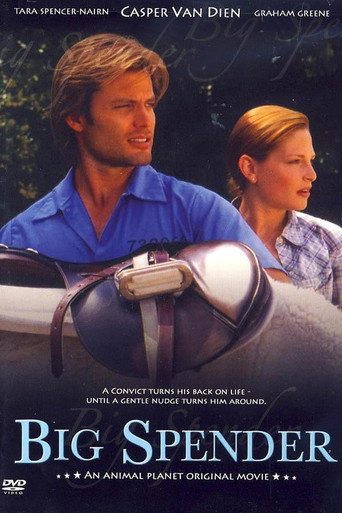 Póster de Big Spender