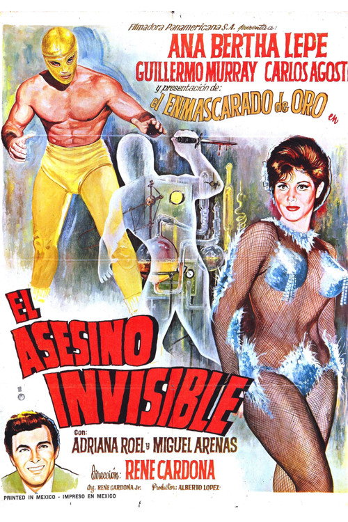 Póster de El asesino invisible