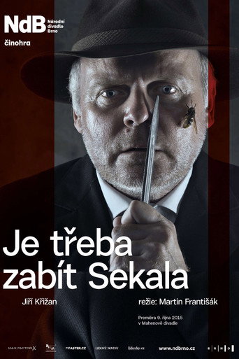 Póster de Je třeba zabít Sekala