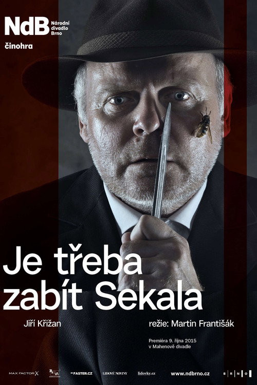 Póster de Je třeba zabít Sekala