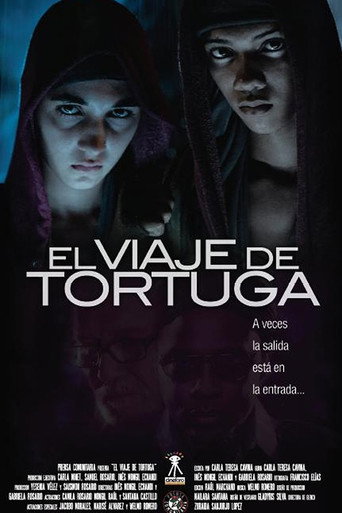 Póster de El viaje de Tortuga