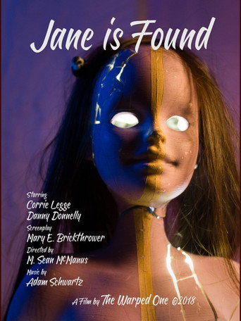 Póster de Jane Is Found
