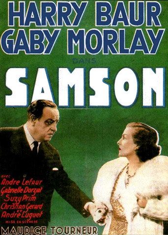 Póster de Samson