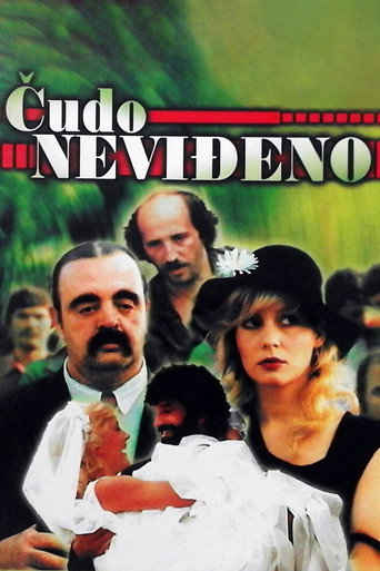 Póster de Čudo neviđeno