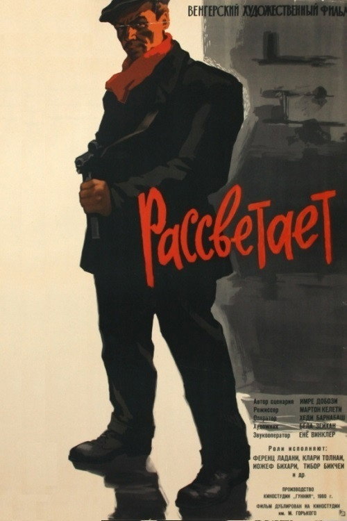 Póster de Virrad