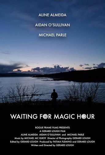 Póster de Waiting for Magic Hour