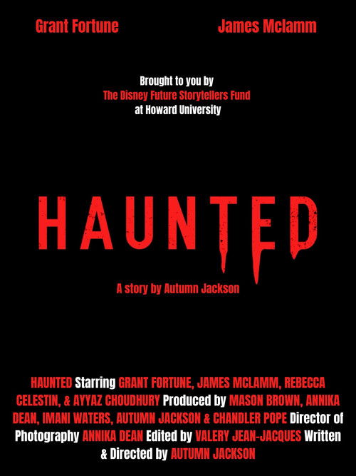 Póster de Haunted
