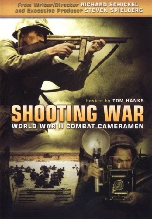 Póster de Shooting War