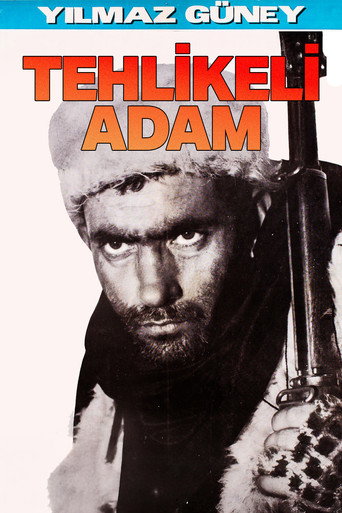 Póster de Tehlikeli Adam