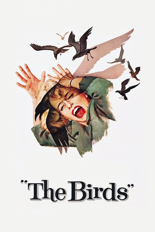 Póster de Los pájaros