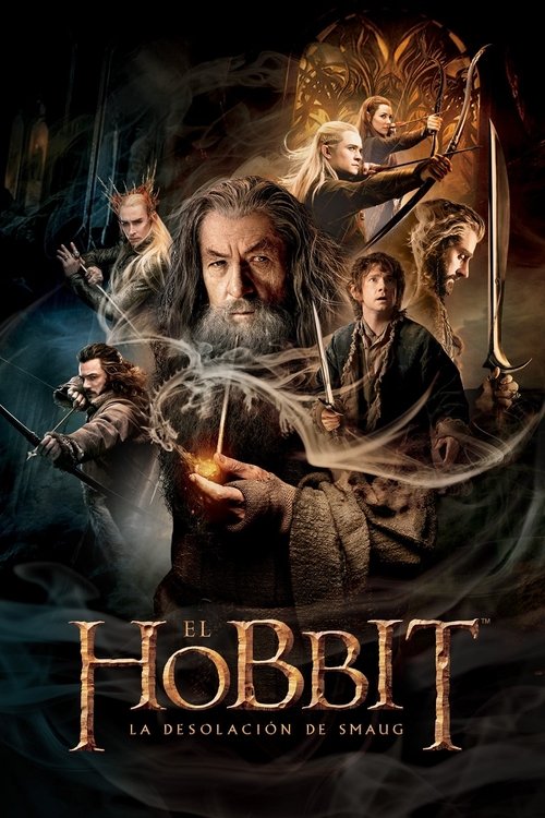 Póster de El Hobbit 2: La Desolación de Smaug