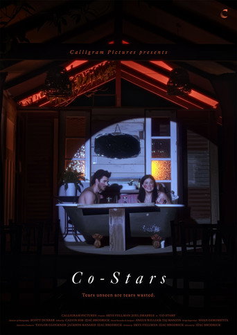 Póster de Co-Stars