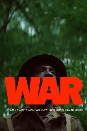 Póster de War