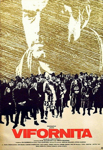 Póster de Vifornița