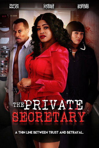 Póster de The Private Secretary