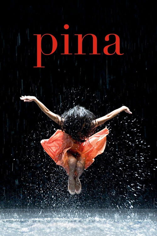 Póster de Pina