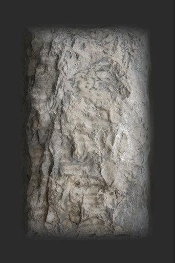 Póster de Dream