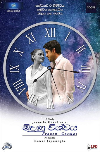 Póster de Frozen Cosmos