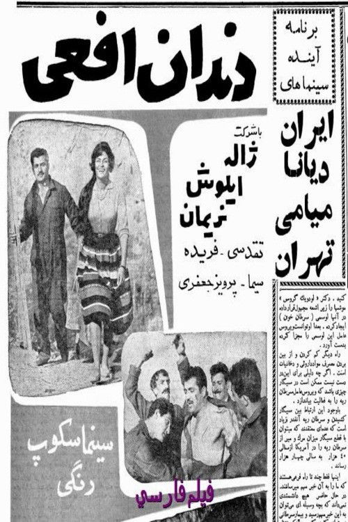 Póster de دندان افعی