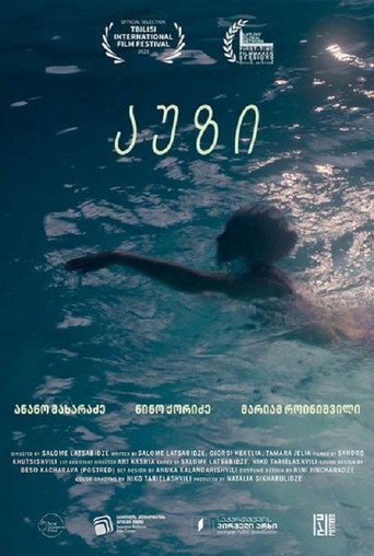 Póster de აუზი