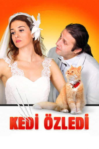Póster de Kedi Özledi