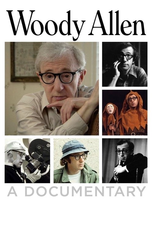 Póster de Woody Allen: A Documentary