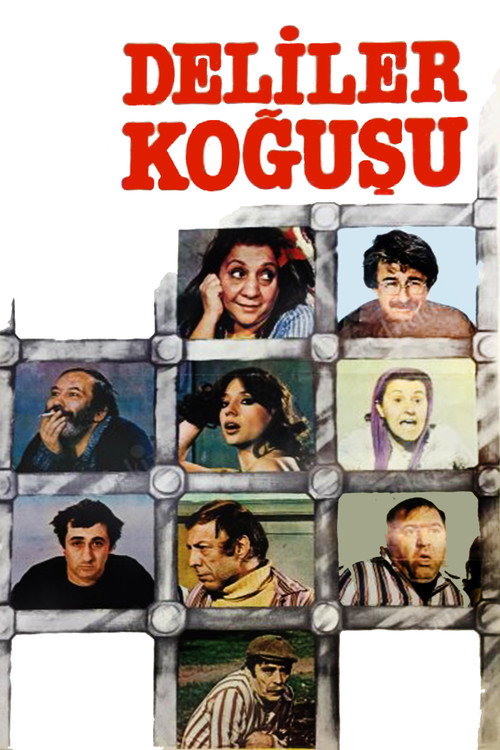Póster de Deliler Koğuşu