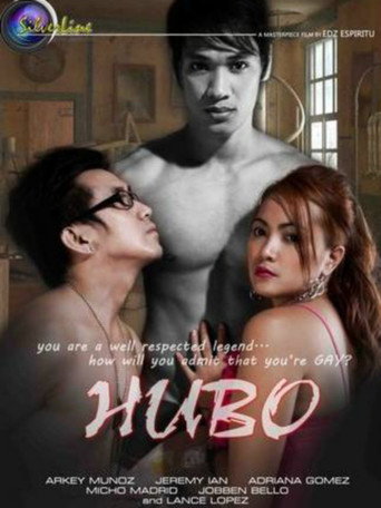 Póster de Hubo