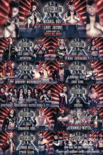 Póster de RevPro 12 Year Anniversary Show
