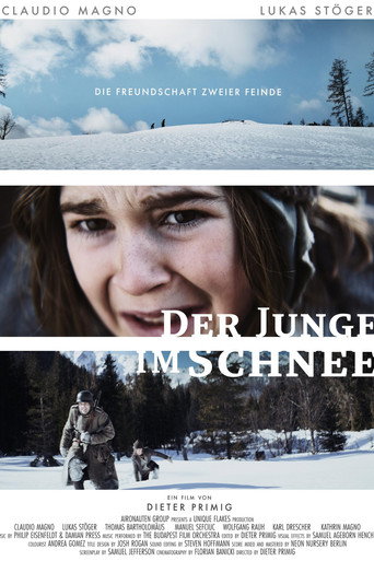 Póster de Der Junge im Schnee