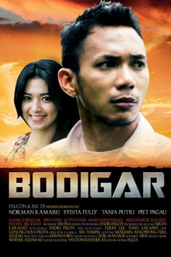Póster de Bodigar