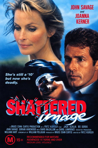 Póster de Shattered Image