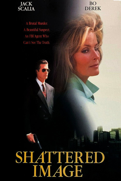 Póster de Shattered Image