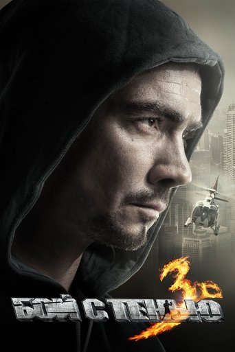 Póster de Shadow Boxing 3. The Final Round