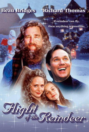 Póster de Flight of the Reindeer
