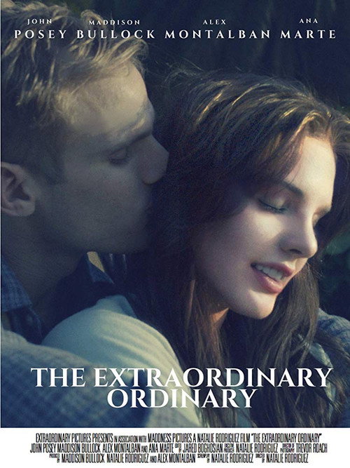 Póster de The Extraordinary Ordinary