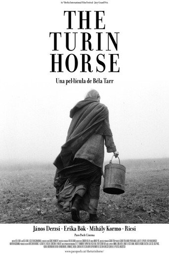 Póster de El caballo de Turín