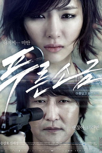 Póster de 푸른소금