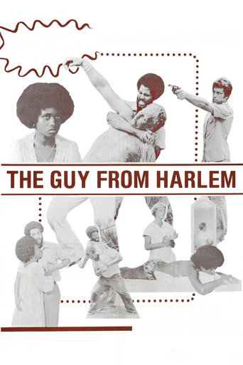 Póster de The Guy from Harlem