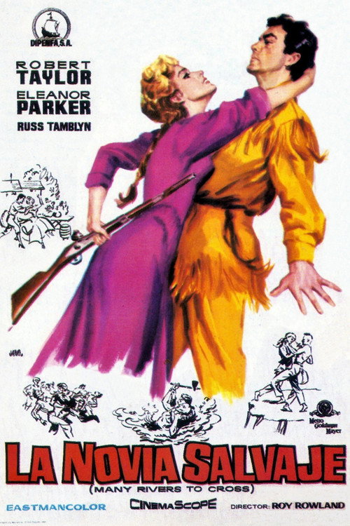 Póster de Many Rivers to Cross