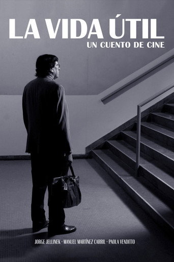 Póster de La vida útil