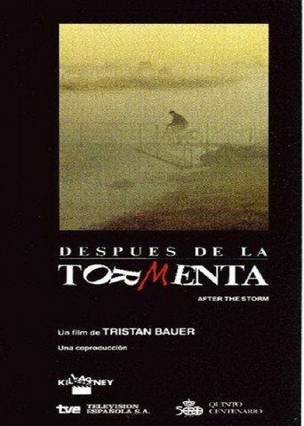 Póster de Después de la tormenta