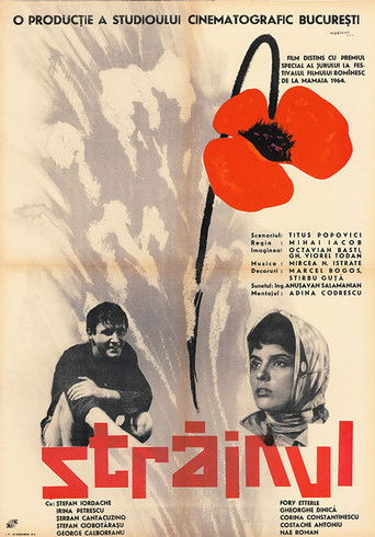Póster de Străinul