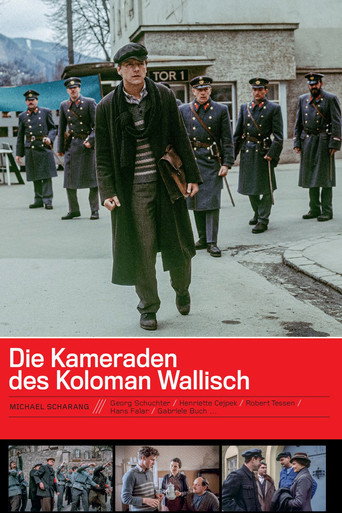 Póster de Die Kameraden des Koloman Wallisch